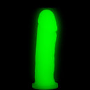 Prótese Fosforescente Realística Macia e Flexível com Veias Salientes Soft Line 17 cm x 4 cm - Imagem 2